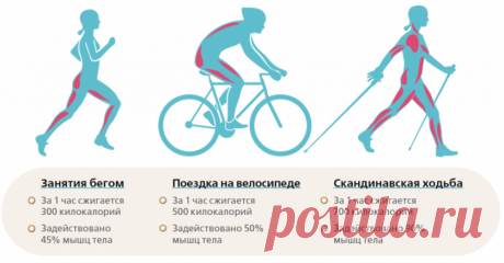 Скандинавская ходьба для похудения и оздоровления в любую погоду — Диеты со всего света