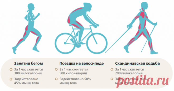 Скандинавская ходьба для похудения и оздоровления в любую погоду — Диеты со всего света