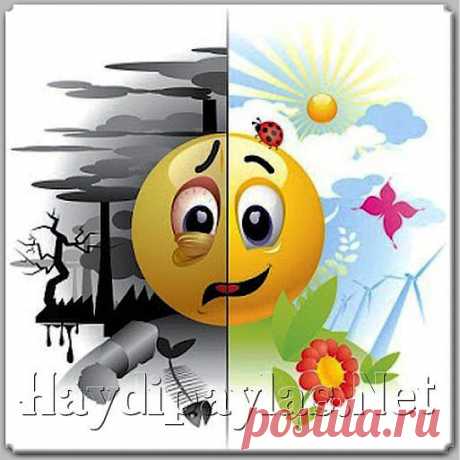 Средства детоксикации организма
 
 
 

Жизнь в крупных городах не лучшим образом сказывается на здоровье, ведь человек подвергается постоянному токсическому воздействию, что, в конечном счете, может привести к появлению хронических заболеваний. Детоксикация организма важная процедура, которая поможет вам всегда сохранять легкость, прекрасное самочувствие и крепкое здоровье!