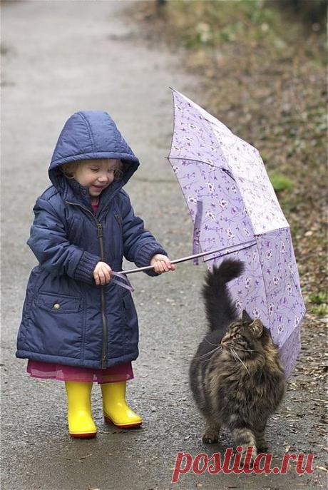 Sharing an umbrella with Kitty...compasion | Things that Make Me Awwww | Зонты, Котенок и Мейн-кун