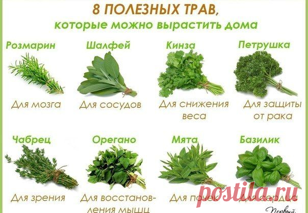 Фотографии на стене сообщества | 32 876 фотографий