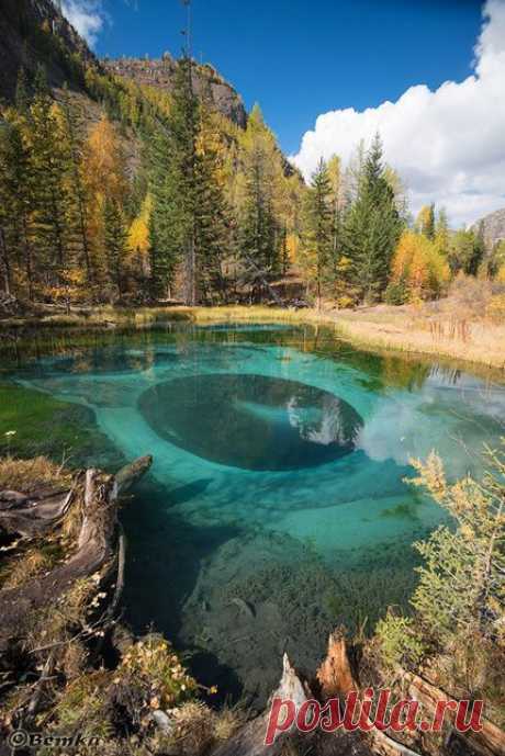 Лучшие фотографии Горного Алтая от Светланы Казиной | РОЗЫ