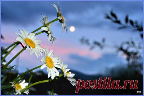 ФОТОМАСТЕРСКАЯ ПРИРОДЫ
Надежда Вагапова