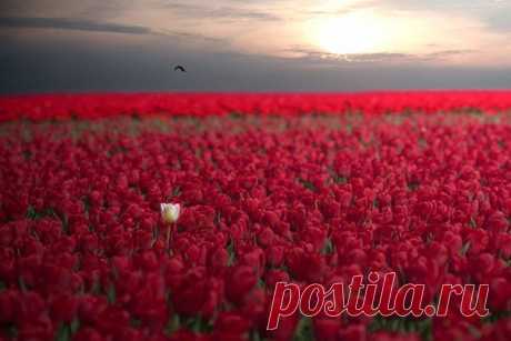 Фотографии на стене сообщества – 65 782 фотографии | ВКонтакте
