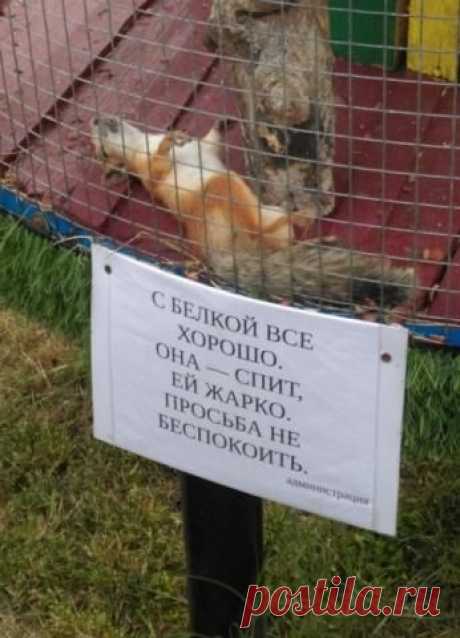 Советы на каждый день...