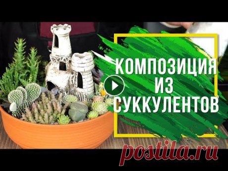Цветочная композиция из суккулентов  ???? Мастер Класс ☘ Наш сайт - ✿ Мы вконтакте - ❦ Одноклассники - Товары представленные в роликах вы можете приобрести по адресу: г. Пенза, ул.Суворова 225, второй этаж...