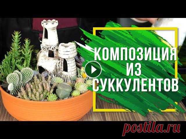 Цветочная композиция из суккулентов  ???? Мастер Класс ☘ Наш сайт - ✿ Мы вконтакте - ❦ Одноклассники - Товары представленные в роликах вы можете приобрести по адресу: г. Пенза, ул.Суворова 225, второй этаж...