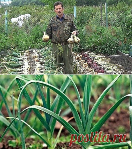 (78) Одноклассники