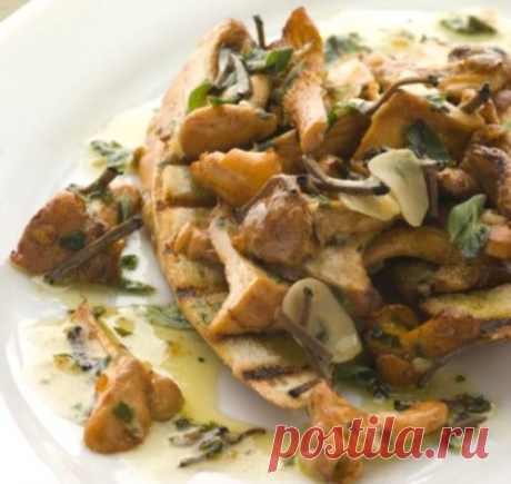 Подосиновики и подберезовики: маринуем, замораживаем и сушим на зиму / Простые рецепты