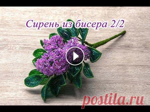 СИРЕНЬ из БИСЕРА - мастер-класс. Урок 2/2 - Цветы сирени и сборка композиции Посмотрите мастер-класс и вы научитесь плести сирень из бисера: Часть 1: Во втором уроке мы будем плести цветы и собирать веточку сирени. ============...