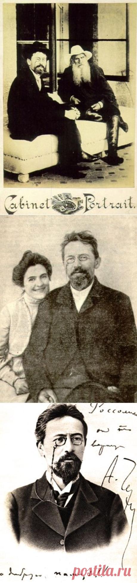 Ёмкие и точные цитаты Чехова — Болтай