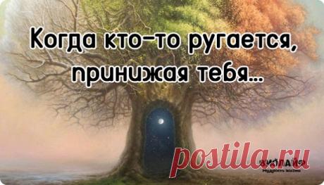 Замечательные слова: "Когда кто-то ругается, принижая тебя..."