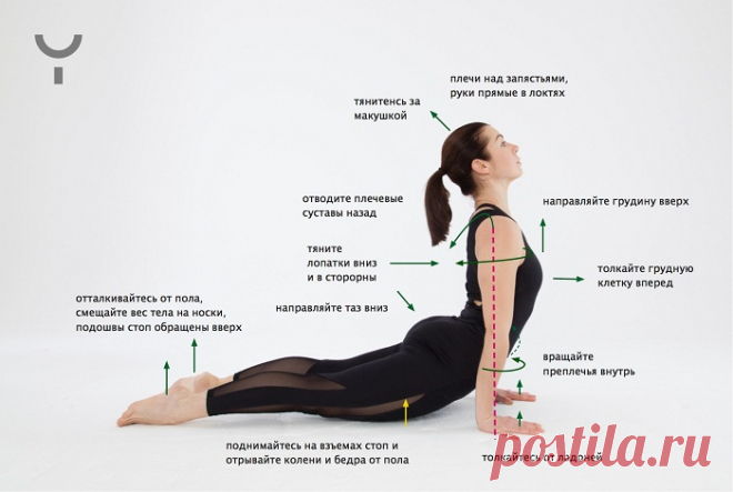Эффективное упражнение для укрепления мышц спины и рук