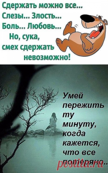 (43) Одноклассники