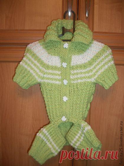 Купить комбинезон для собаки - салатовый, комбинезон для собак, комбинезон, шерсть 50% акрил 50%