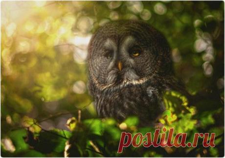 Фотографии Голубая планета - 463 фото в Моем Мире.