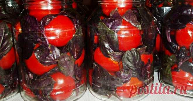 Маринованные помидоры по-итальянски — закуска потрясающей нежности. Идеальный баланс сладости и остроты. Как же сложно от банки оторваться!