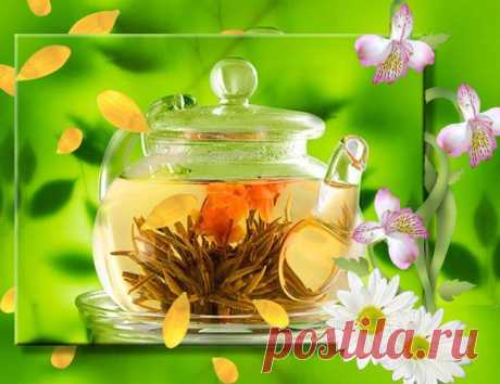 Лечебные травки и чаи от простудных заболеваний. Природа нам в помощь.