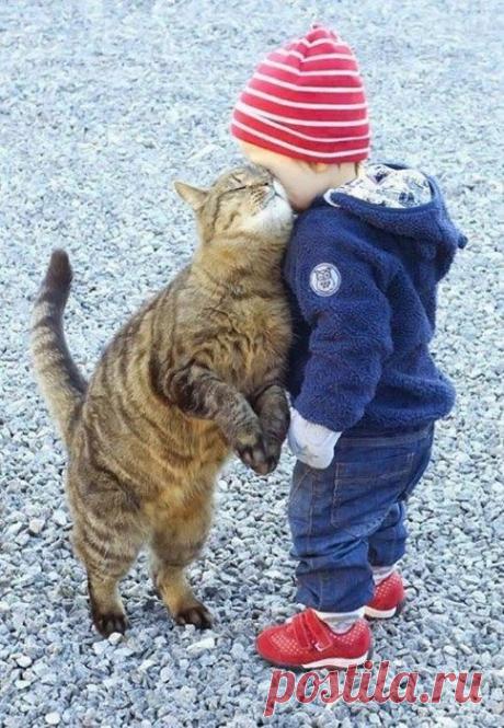 Absolutely adorable! | ferma immagine | Кошки, Котенок и Любовь