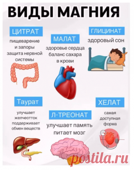 Магний - жизненно важный макроэлемент,
 участвующий более чем в 300 биохимических реакциях организма. В человеческом теле около 70 г магния, из которых 60% находится в костях, а остальное - в мышцах и тканях.
