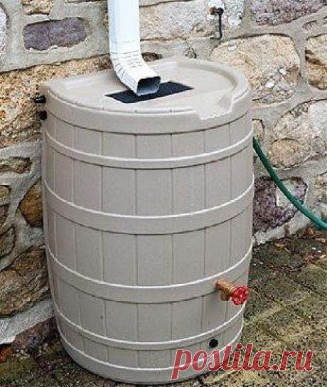 Идея для дачи