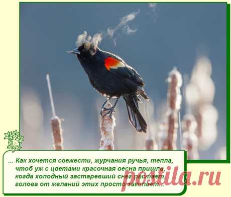 Хорошего Вам настроения.