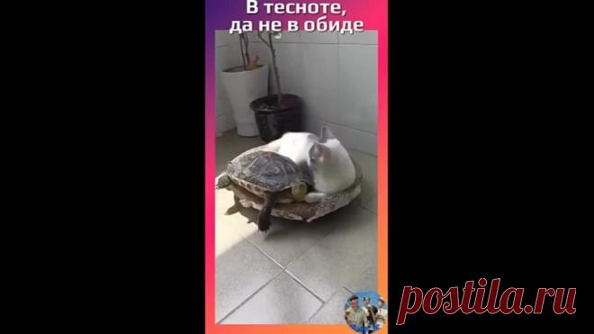 В тесноте, да не в обиде