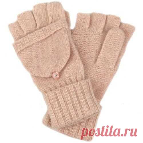 30HznnQtxkk.jpg (500×500)