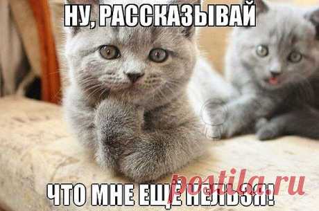 Ну, рассказывай