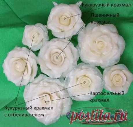 Blog Anri-Irene: Как отбелить холодный фарфор? Холодный фарфор с отбеливателем.