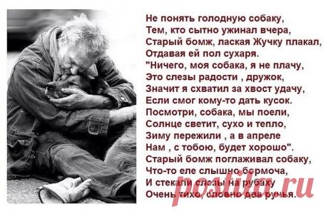 мудрые изречения - Поиск в Google