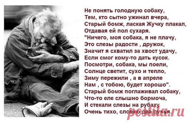 мудрые изречения - Поиск в Google