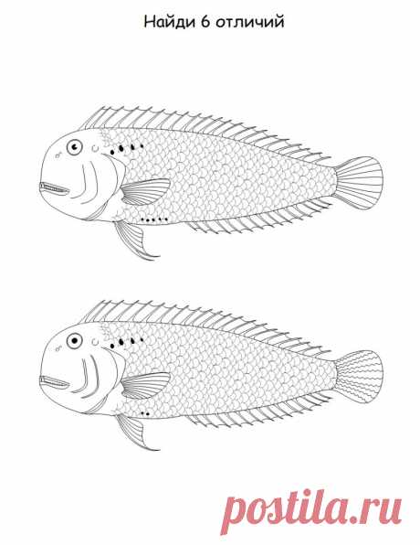 Логические раскраски | Мастер классы | рукоделие, декор, полимерная глина, плетение, вышивание