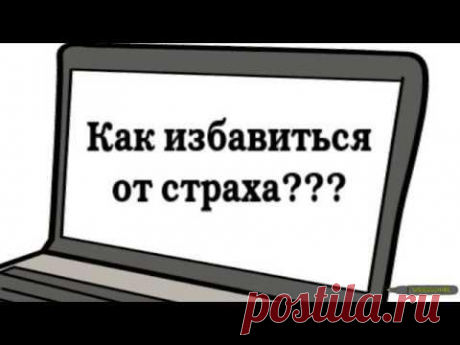 Жизнь без страха