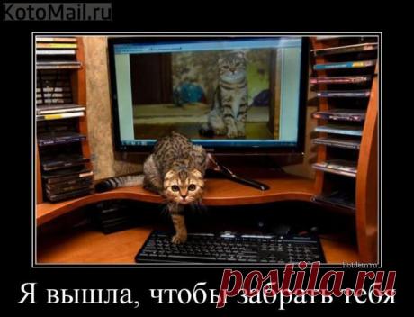 Ужасы в стиле фильма "Звонок". | KotoMail.ru