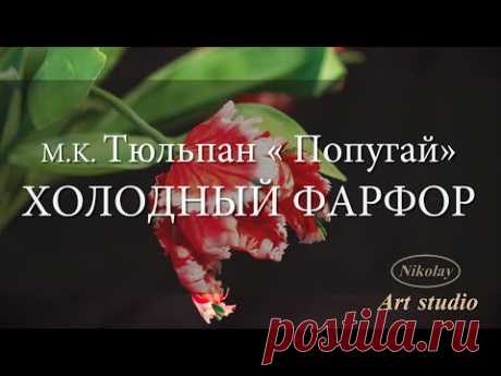 Тюльпан « Попугай»