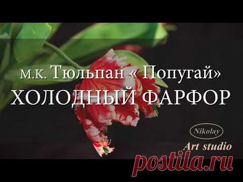 Тюльпан « Попугай»