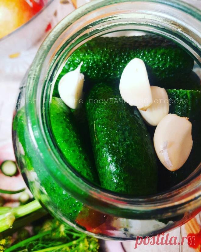 Засолка огурцов без уксуса в розовом рассоле. Зеленцы получаются красивые, хрустящие и не взрываются
Скоро пойдут огурцы. После свежих салатов настанет пора закаток банок на зиму....
Читай дальше на сайте. Жми подробнее ➡