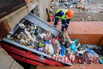 В России задумали полностью избавиться от одного вида мусора. С 2022 года в России задумали тотально избавиться от отходов одного вида — упаковки товаров, произведенных на территории страны. Минприроды рассматривает вариант с вводом норматива переработки тары до 100 процентов, увеличением объема утилизации товаров поэтапно, по десять процентов ежегодно.