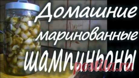 ДАЙЖЕСТ КУЛИНАРНЫХ РЕЦЕПТОВ К ПРАЗДНИКАМ ОТ ПИКНИКА...
