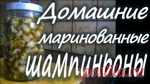 ДАЙЖЕСТ КУЛИНАРНЫХ РЕЦЕПТОВ К ПРАЗДНИКАМ ОТ ПИКНИКА...