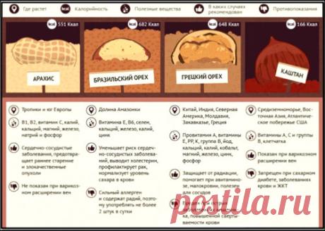 circassian-walnut_.jpg (500×357)