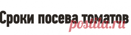 Сроки посева томатов
