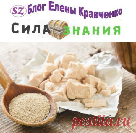 Дрожжевая подкормка растений: применяем дрожжи как удобрение