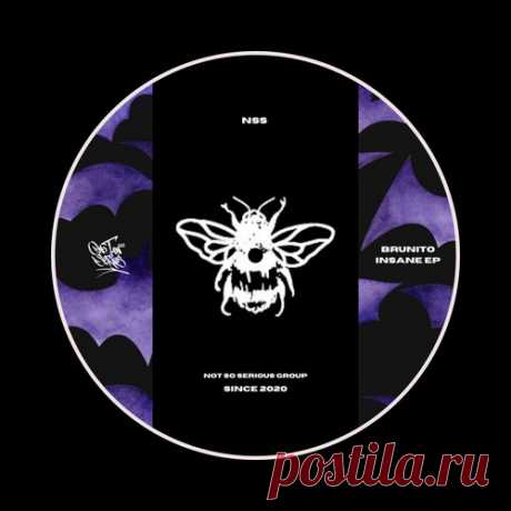 Brunito – Insane EP [NSS249]