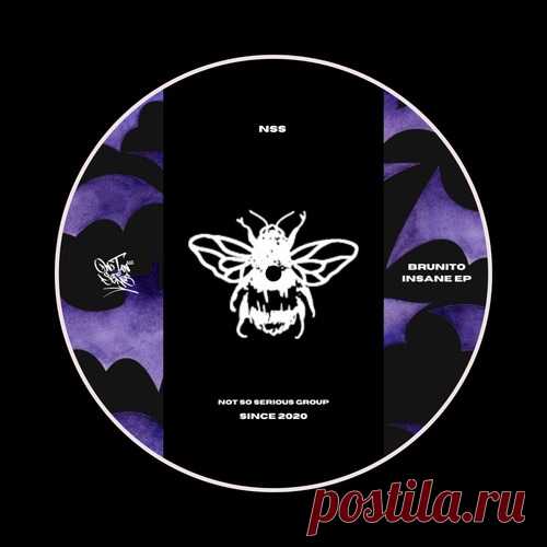 Brunito – Insane EP [NSS249]