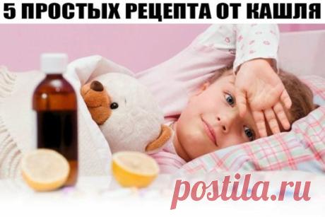5 ПРОСТЫХ РЕЦЕПТА ОТ КАШЛЯ!!!
1. От детского кашля избавит такая смесь. Натрите на мелкой терке 1 яблоко, 1 луковицу и 1 морковь приблизительно одинакового веса. Добавьте 2 ст. л. меда, хорошо перемешайте. Давайте детям по 1 ч. л. в теплом виде 4—5 раз в день.
2. 30 г изюма настаивайте в холодной кипяченой воде 45 минут. Откиньте на дуршлаг. Изюм съешьте перед сном, запивая горячим молоком. Средство помогает даже при сильном кашле
3. "Огненное" молоко от кашля.
10 луковиц нарежьте кубиками, изме