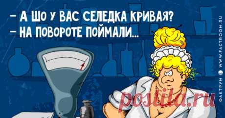 УЛЫБНУЛО! – Блог. yurii, пользователь Юрий Шац | Группы Мой Мир