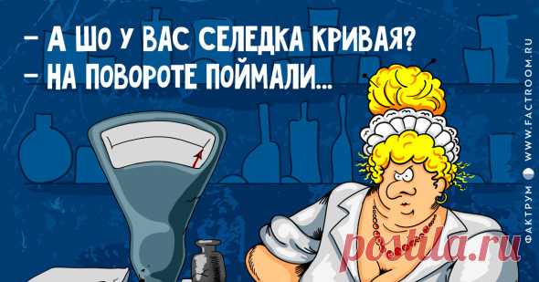 УЛЫБНУЛО! – Блог. yurii, пользователь Юрий Шац | Группы Мой Мир