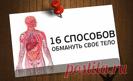 16 способов обмануть свое тело.